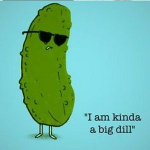 Meet your Posher, Dillon